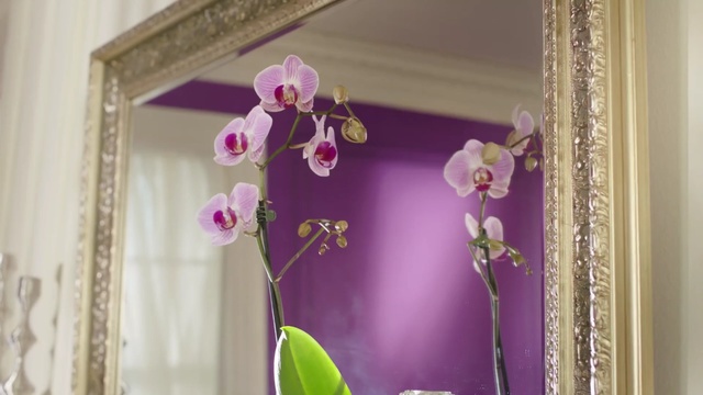 Video Reference: flower, pink, purple, flower arranging, floristry, interior design, flora, window, floral design, petal