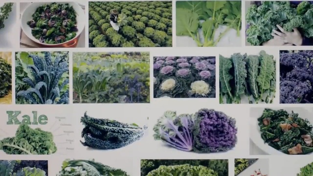 Video Reference: Lacinato kale, Lavender, Plant, Superfood, Leaf vegetable, Tatsoi, Cruciferous vegetables, Vegetable, Kale, wild cabbage