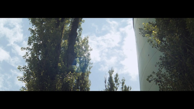 Video Reference: sky, tree, nature, woody plant, leaf, cloud, daytime, sunlight, atmosphere, morning, Person