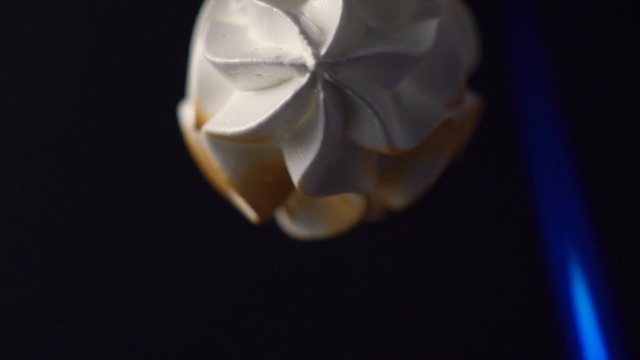 Video Reference: flower, macro photography, petal, close up, computer wallpaper, still life photography, darkness