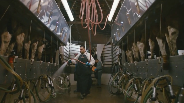 Video Reference: tourist attraction, Person