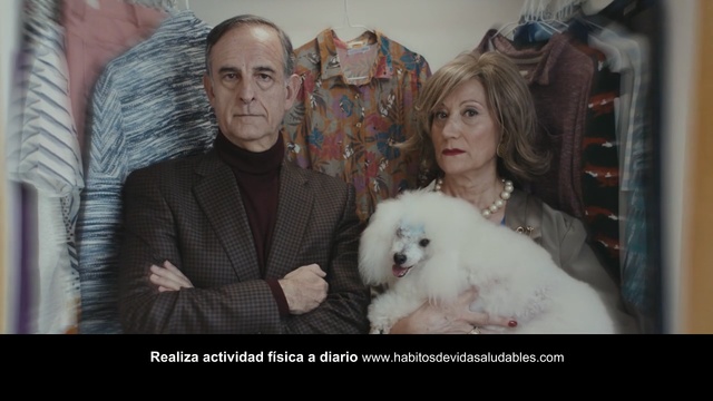 Video Reference: dog, canine, domestic animal, pet, cute, fur, cat, Person