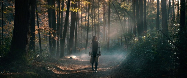 Video Reference: People in nature, Woodland, Nature, Forest, Natural environment, Natural landscape, Tree, Atmospheric phenomenon, Sunlight, Old-growth forest