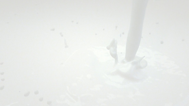 Video Reference: white, black and white, water, freezing, hand, close up, monochrome, snow, still life photography, ice