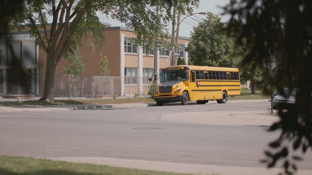 Video Reference: car, land vehicle, vehicle, motor vehicle, transport, tree, woody plant, mode of transport, plant, bus