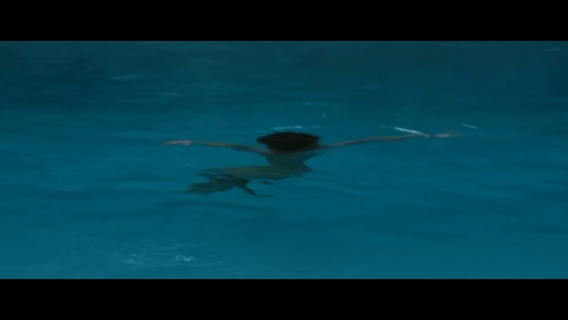 Video Reference: water, sea, underwater, ocean, azure, marine biology, calm, swimming, sea turtle