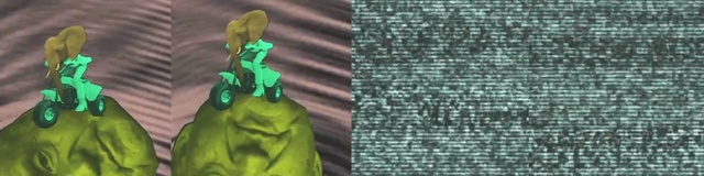 Video Reference: green, feather, organism, tree, material, grass