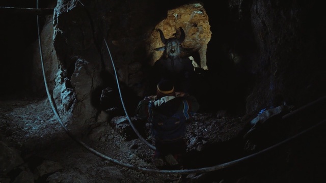 Video Reference: armadillo