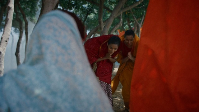 Video Reference: Red, Tree, Adaptation, Fun, Temple, Leisure, Person