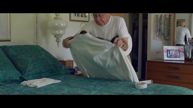 Video Reference: green, blue, white, photograph, clothing, room, sitting, day, furniture, textile