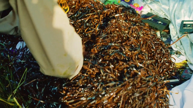 Video Reference: membrane winged insect, bee, scrap