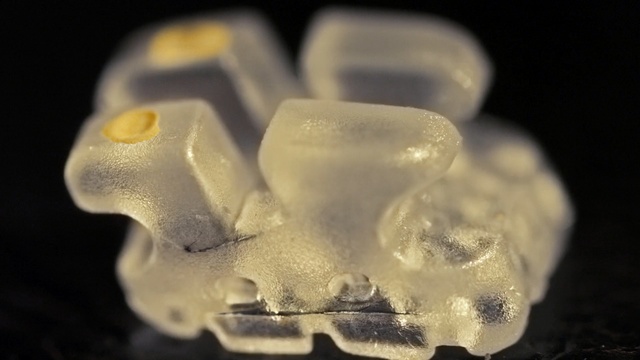 Video Reference: macro photography, close up, organism, jaw