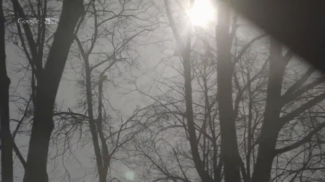 Video Reference: Atmospheric phenomenon, Tree, Branch, Nature, Fog, Sky, Mist, Light, Atmosphere, Sunlight, Person