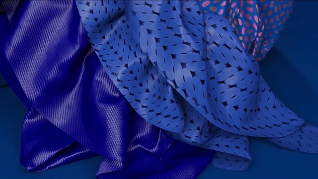 Video Reference: blue, cobalt blue, electric blue, purple, close up, organism, Person