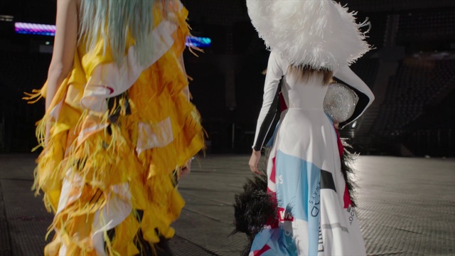 Video Reference: Feather, Fashion, Costume design, Costume, Carnival, Fun, Dress, Cosplay, Event, Fashion design