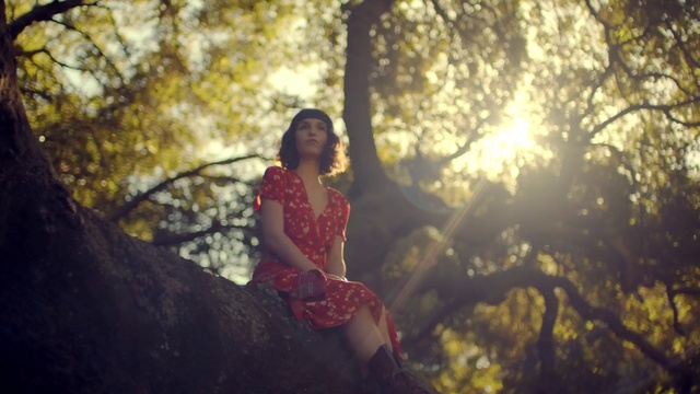 Video Reference: People in nature, Nature, Photograph, Tree, Branch, Sunlight, Light, Beauty, Photography, Woody plant