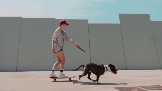 Video Reference: Leash, Dog, Canidae, Dog walking, Dog breed, Obedience training, Human, Fashion accessory, Carnivore, Walking