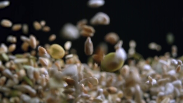 Video Reference: Organism, Plant, Food, Macro photography, Indoor, Cake, Table, Plate, Sitting, Fruit, Chocolate, Large, Holding, Reef, Aquarium, Closeup