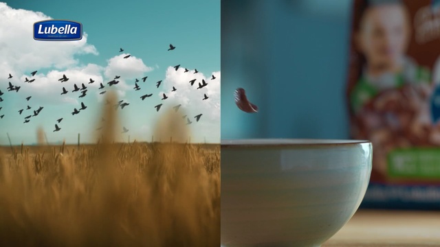 Video Reference: Sky, Screenshot, Bird, Flock, Seabird, Butterfly, Person
