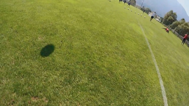 Video Reference: Grassland, Grass, Lawn, Land lot, Grass, Pasture, Field, Meadow, Aerial photography, Photography