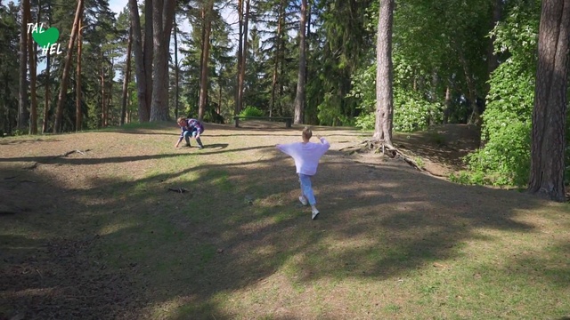 Video Reference: Tree, Natural environment, Woodland, Grass, Biome, Forest, Recreation, State park, Leisure, Park