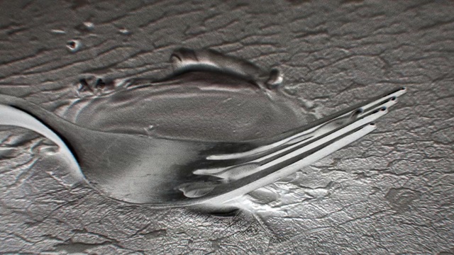 Video Reference: black and white, photography, close up, monochrome, water, metal, still life photography, monochrome photography