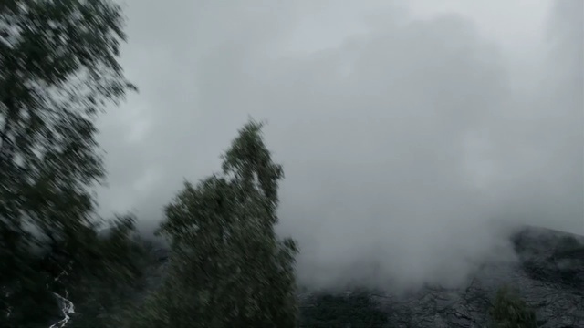 Video Reference: mist, fog, sky, nature, cloud, tree, forest, wilderness, ecosystem, vegetation
