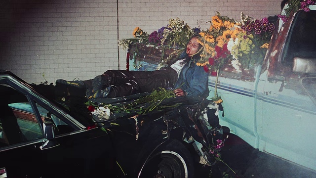 Video Reference: Motor vehicle, Vehicle door, Vehicle, Car, Automotive design, Tree, Plant, Flower, Automotive exterior, Auto part, Truck, Man, Sitting, Table, Parked, Standing, Large, Bed, People, Red, Riding, Driving, Woman, Old, Motorcycle, Street, Holding, Dog, Water, Room, Group, Bus, White