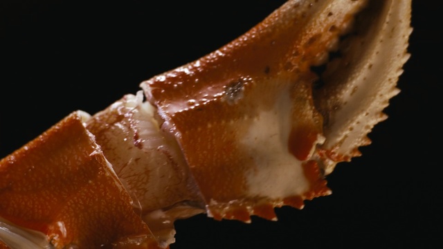 Video Reference: Food, Dish, Cuisine