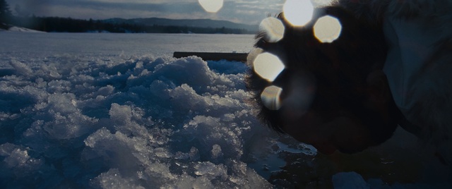 Video Reference: Sky, Water, Ice, Cloud, Reflection, Sea ice, Arctic, Winter, Ocean, Sea