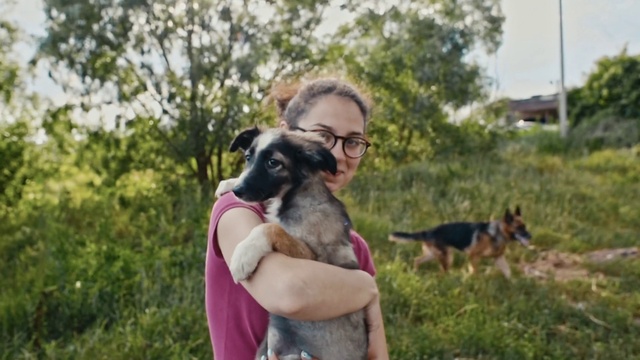 Video Reference: Dog, Mammal, Vertebrate, Dog breed, Canidae, German shepherd dog, Carnivore, Puppy, Working dog, Companion dog