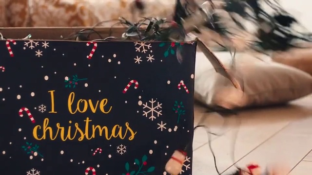 Video Reference: Font, Christmas eve, Graphic design