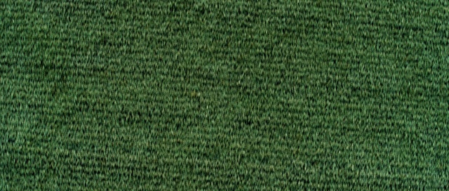 Video Reference: Green, Grass, Woolen, Artificial turf, Wool, Woven fabric, Plant, Textile, Lawn, Pattern