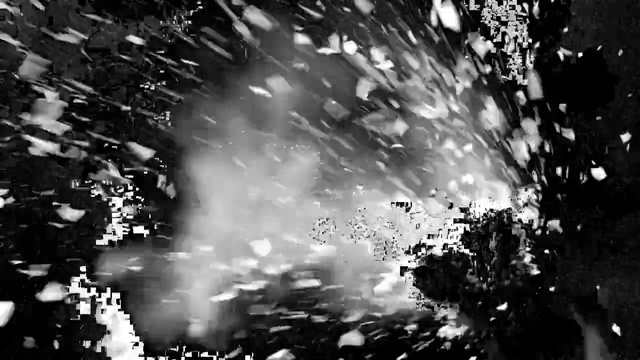Video Reference: White, Black, Black-and-white, Water, Monochrome photography, Monochrome, Light, Darkness, Tree, Sky