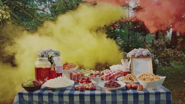 Video Reference: Meal, Food, Picnic, Cuisine, Still life, Event, Recreation, Dish, Buffet