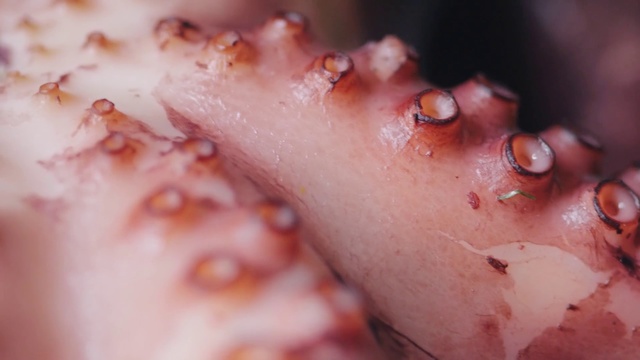 Video Reference: Skin, Nose, Close-up, Flesh, Cheek, Mouth, Organism, Jaw, Ear, Neck