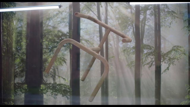 Video Reference: Nature, Tree, Forest, Wood, Woodland, Plant, Trunk, Art, Indoor, Window, Building, Sitting, Room, Table, Glass, Large, Vase, White, Standing, Dog, Laying, Bear, Man, Riding
