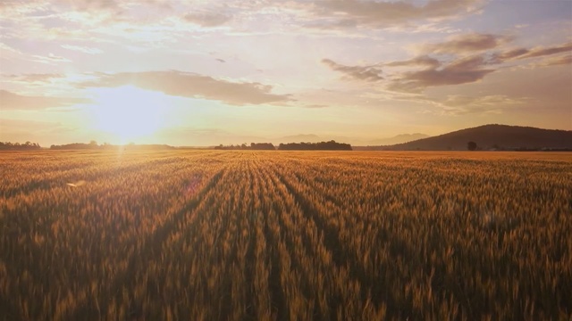 Video Reference: Sky, Field, Nature, Horizon, Plain, Natural landscape, Natural environment, Atmospheric phenomenon, Grassland, Cloud