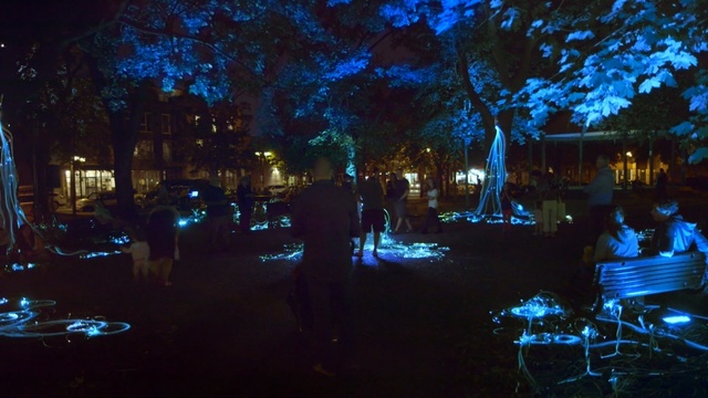 Video Reference: blue, night, darkness, light, lighting, tree, sky, landscape lighting, reflection, evening