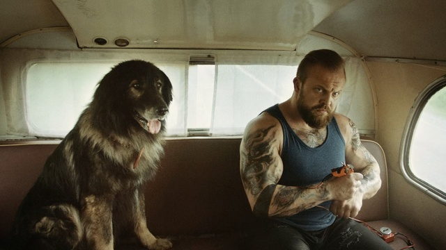 Video Reference: Dog, Canidae, Human, Fur, Sporting Group, Carnivore