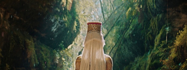 Video Reference: Tree, Wood, Trunk, Art