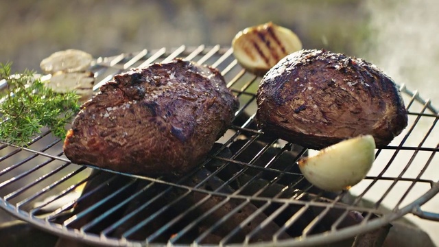 Video Reference: Dish, Barbecue, Food, Barbecue grill, Grilling, Cuisine, Roasting, Steak, Cooking, Outdoor grill