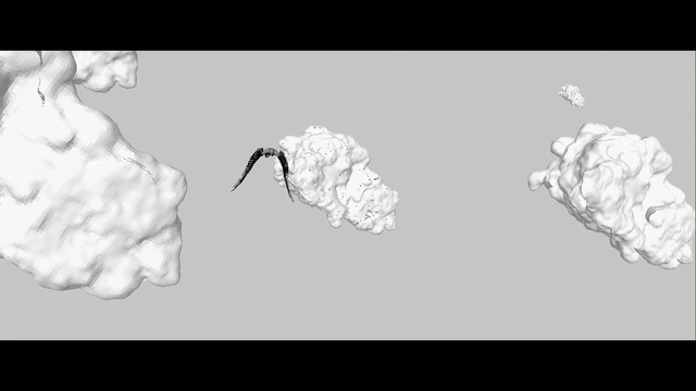 Video Reference: White, Illustration, Black-and-white, Organism, Monochrome photography, Tree, Sketch, Font, Drawing, Hand