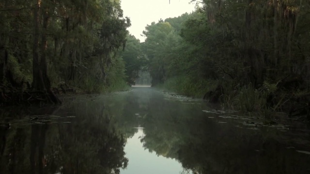 Video Reference: Body of water, Nature, Waterway, Natural environment, Natural landscape, River, Bank, Water resources, Atmospheric phenomenon, Water