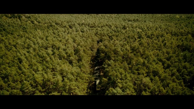 Video Reference: Green, Vegetation, Nature, Tree, Natural environment, Biome, Plantation, Plant, Forest, Field