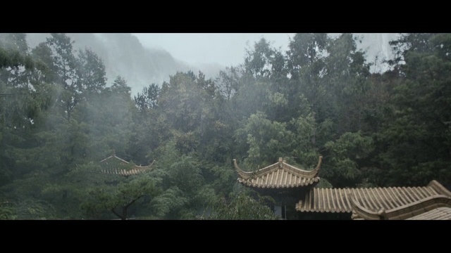 Video Reference: Nature, Vegetation, Atmospheric phenomenon, Natural environment, Hill station, Forest, Jungle, Morning, Biome, Tree