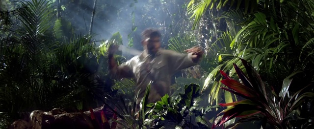 Video Reference: Nature, Vegetation, Jungle, Natural environment, Terrestrial plant, Botany, Rainforest, Organism, Plant, Forest