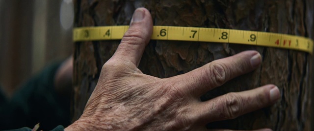 Video Reference: Finger, Hand, Wood, Thumb, Tape measure, Measuring instrument