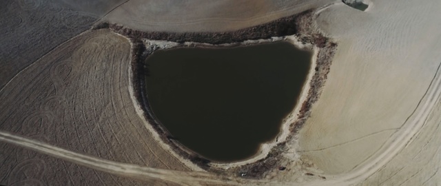 Video Reference: lake, field