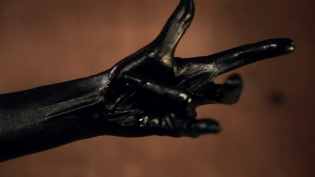 Video Reference: rhinoceros beetle, bat, beetle, placental, mammal